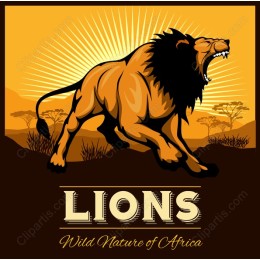 African Lion Roar