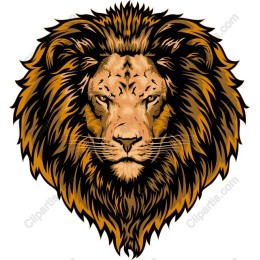 Majestic Lion Head Illumination