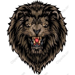 Fierce Lion Head