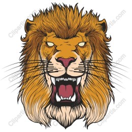 Fierce Lion Head