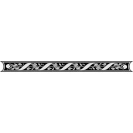 Elegant Scroll and Foliage Decorative Border
