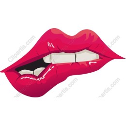 Luscious Pink Lips