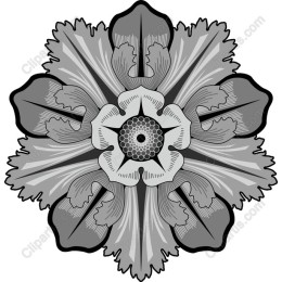 Stunning Black and White Floral