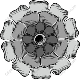 Black and Gray Floral
