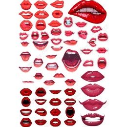Vibrant Lip Bundle