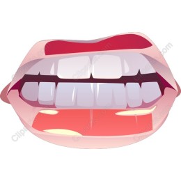 Vivid Smile