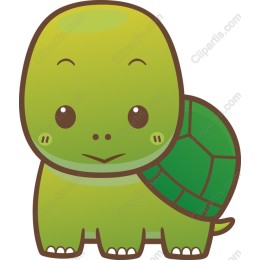 Cheerful Turtle