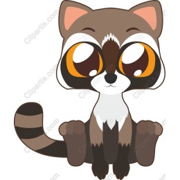 Cute Raccoon