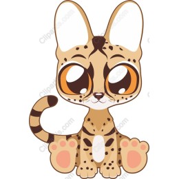 Charming Kitten