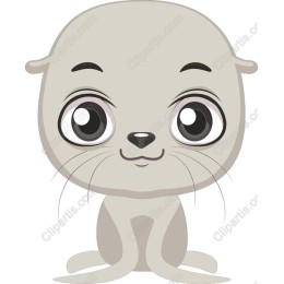 Cute Cartoon Seal