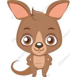 Cute Kangaroo