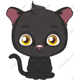 Cute Black Cat