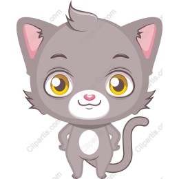 Playful Gray Cat