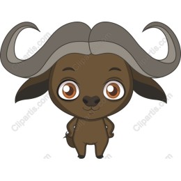 Adorable Buffalo