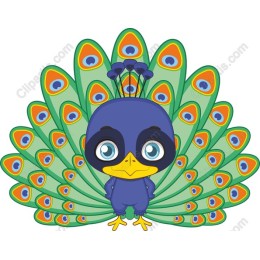 Cartoon Peacock Drawing