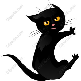 Playful Black Cat