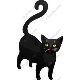 Black Cat