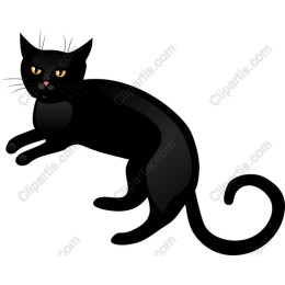 Black Cat