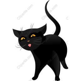 Playful Black Cat