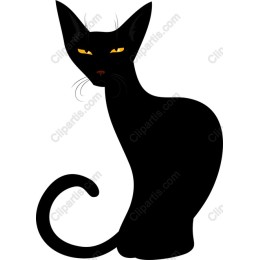 Black Cat - Elegant