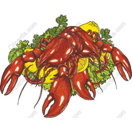 Culinary Lobster