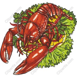 Vibrant Lobster