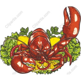 Exquisite Lobster