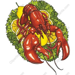 Vibrant Lobster