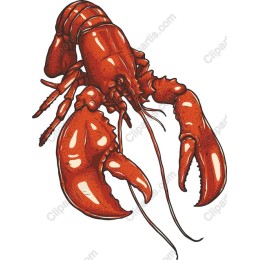 Lobster