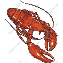 Lobster