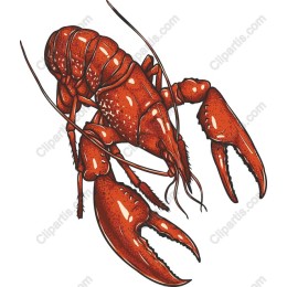 Lobster - Culinary Delight