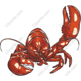 Lobster - High-Quality Seafood