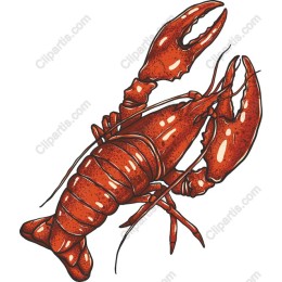 Vibrant Lobster