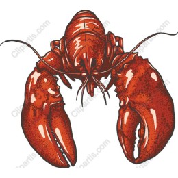 Lobster - Premium