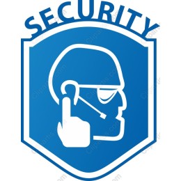 Professional Security