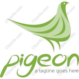 Elegant Pigeon