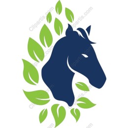 Equine Harmony