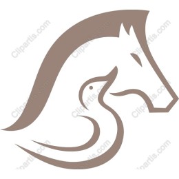 Elegant Horse and Duck