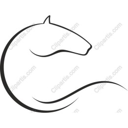 Elegant Horse