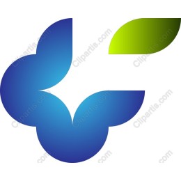 Organic Growth