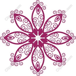 Magenta Elegance Floral