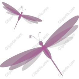 Elegant Pink Dragonfly