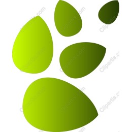 Eco-Friendly Footprint