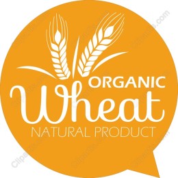 Organic Wheat Natural Product