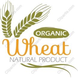 Organic Wheat Natural Product
