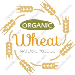 Organic Wheat
