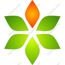 Vibrant Flower