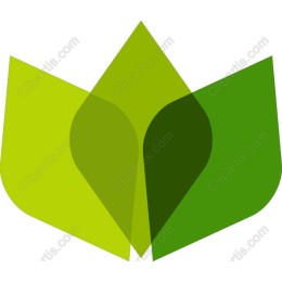 Green Leaf