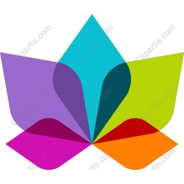 Colorful Abstract Flower
