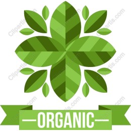 Organic Leaf Icon